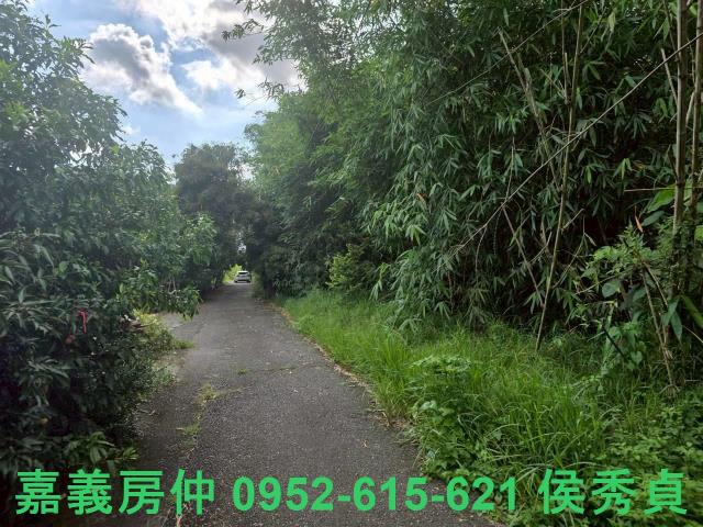 嘉義民雄農地-10