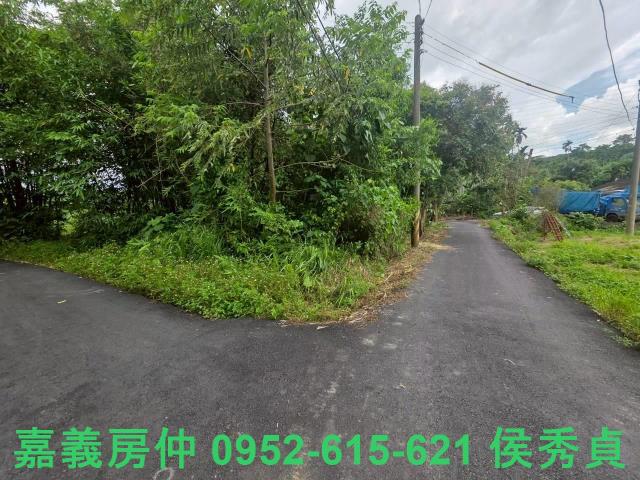 嘉義民雄農地-2