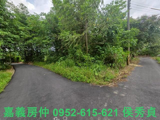 嘉義民雄農地-3