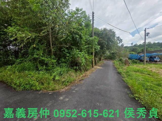 嘉義民雄農地-4