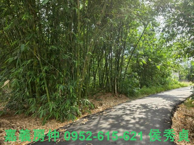 嘉義民雄農地-5