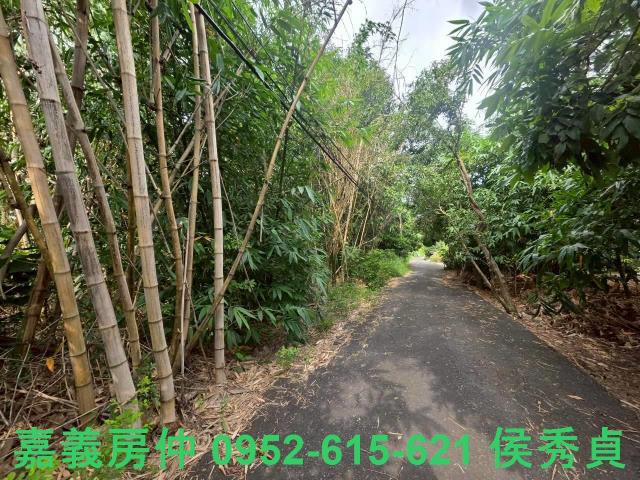 嘉義民雄農地-6