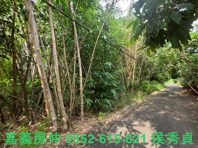 嘉義民雄農地-7