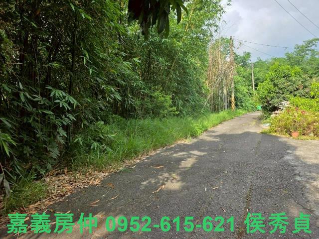 嘉義民雄農地-8