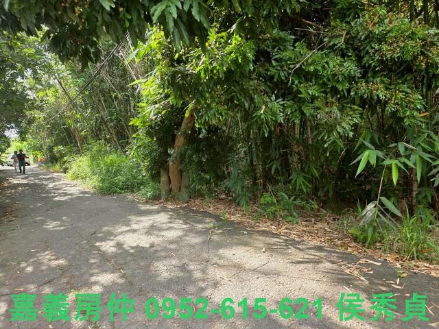 嘉義民雄農地-9