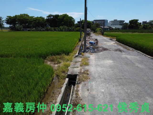 嘉義新港農地-3