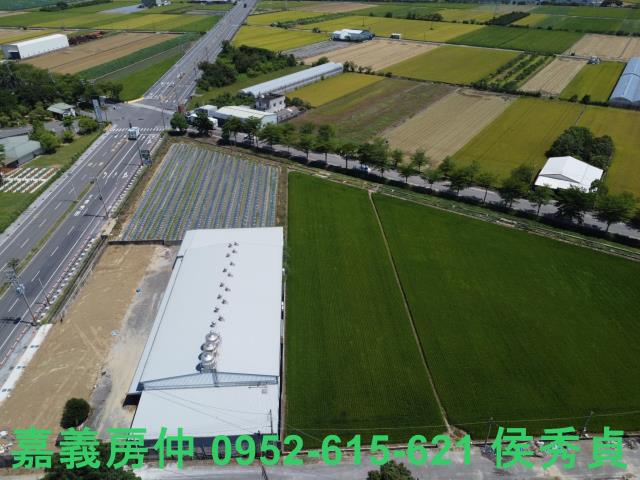 嘉義新港農地-9