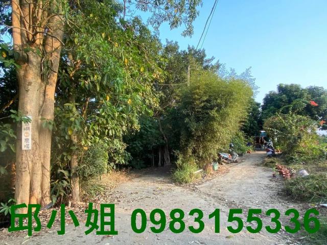 嘉義大林農地-2