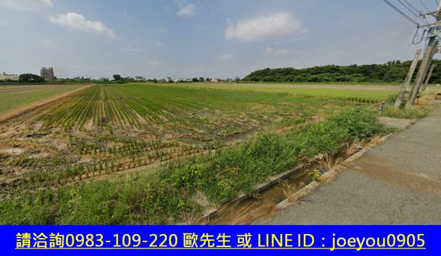 雲林水林法拍農地-4