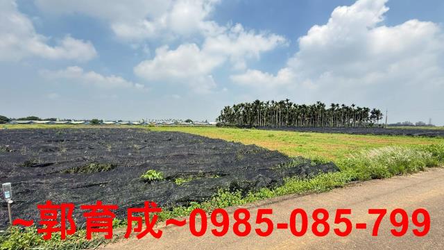 嘉義民雄農地-6