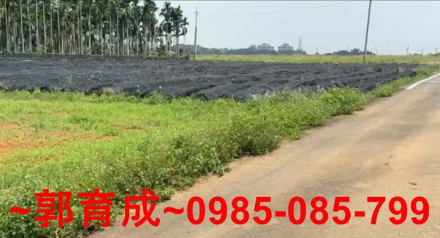 嘉義民雄農地-1