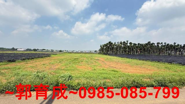 嘉義民雄農地-4