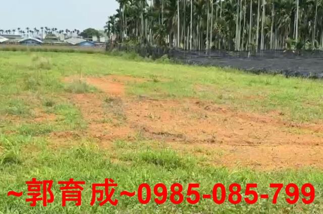 嘉義民雄農地-2