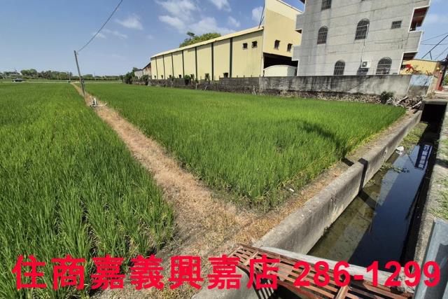 嘉義農地-3