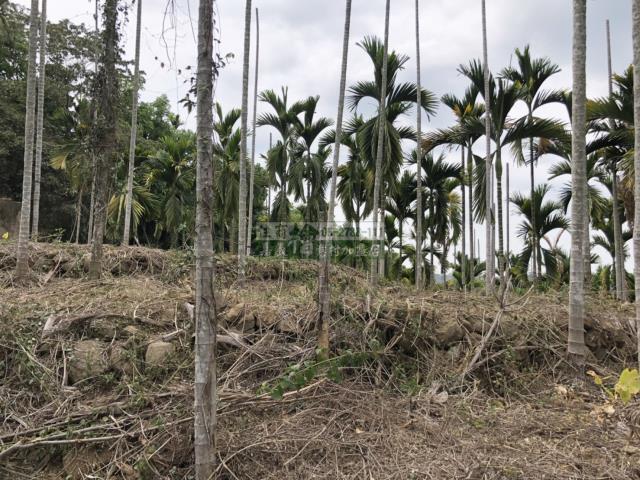 嘉義中埔農地-10