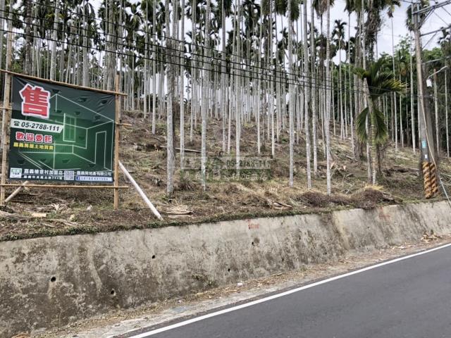 嘉義中埔農地-1