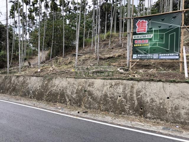 嘉義中埔農地-2