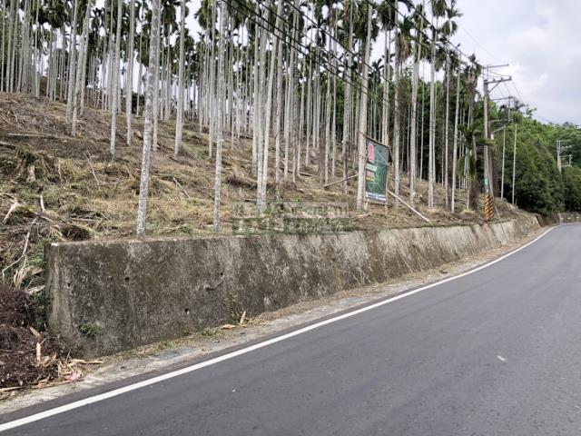 嘉義中埔農地-4