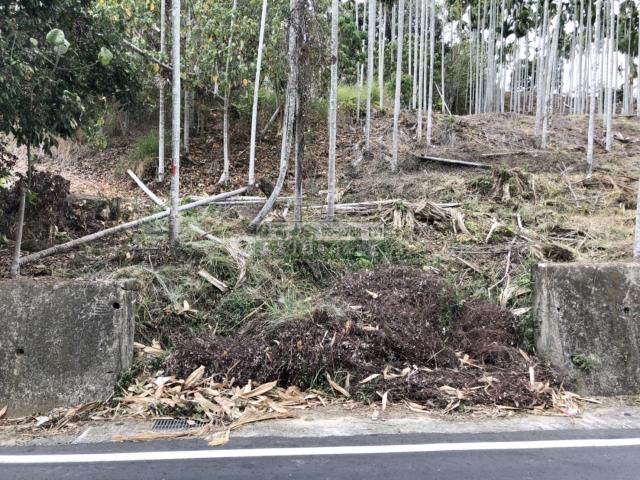 嘉義中埔農地-5