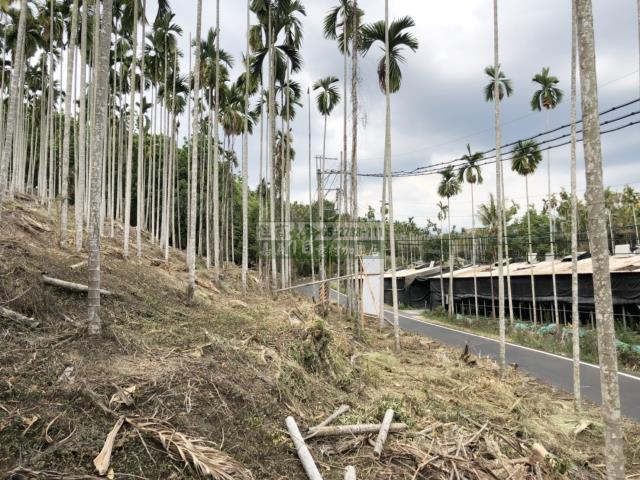 嘉義中埔農地-7