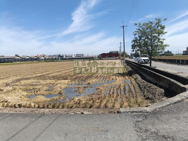 嘉義新港農地-12