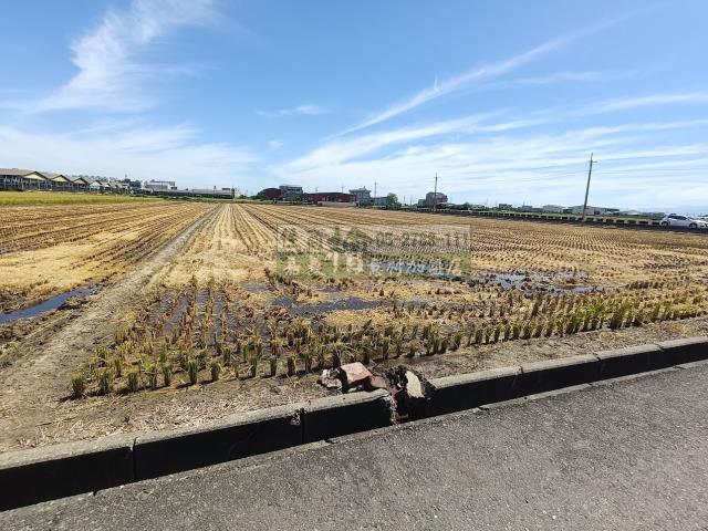 嘉義新港農地-13