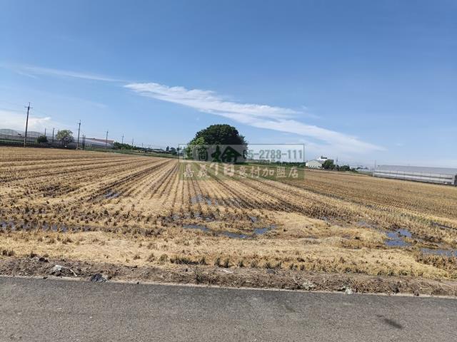 嘉義新港農地-1