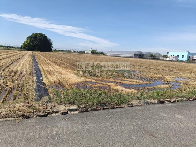 嘉義新港農地-2