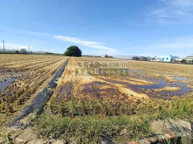 嘉義新港農地-3