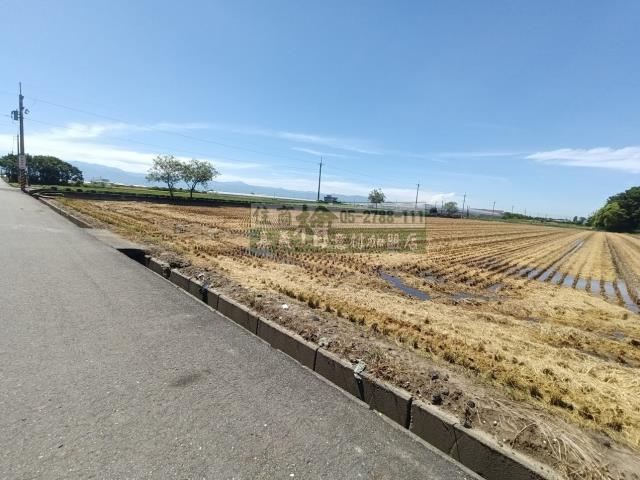 嘉義新港農地-4