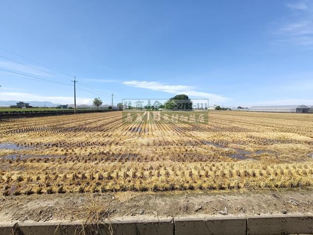 嘉義新港農地-5
