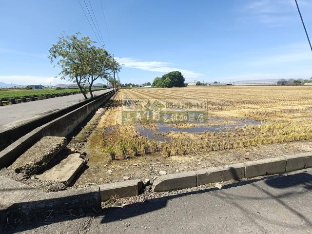 嘉義新港農地-6