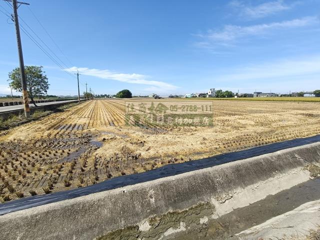 嘉義新港農地-8