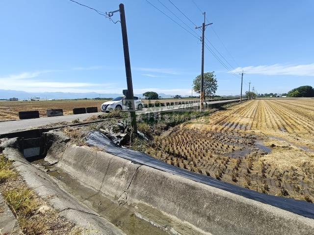 嘉義新港農地-9