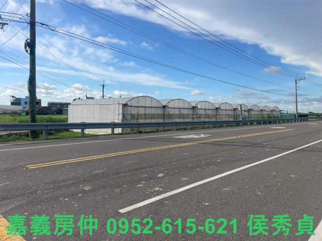 嘉義新港農地-1
