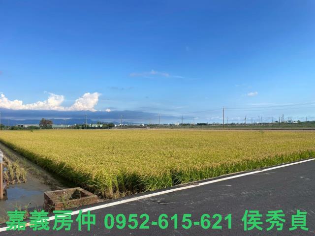 嘉義新港農地-3