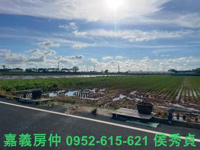 嘉義新港農地-4