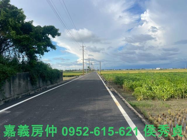 嘉義新港農地-6