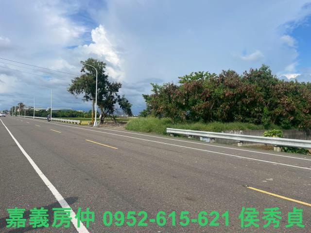 嘉義新港農地-8
