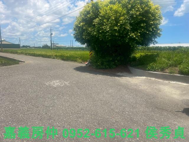 嘉義太保農地-1