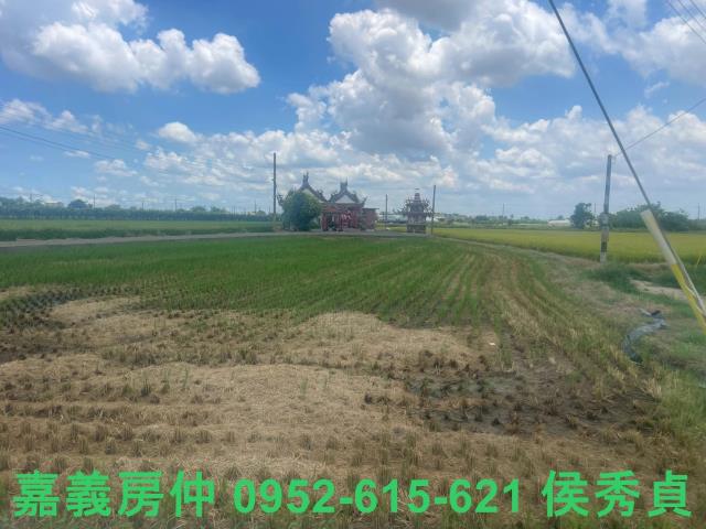 嘉義太保農地-6