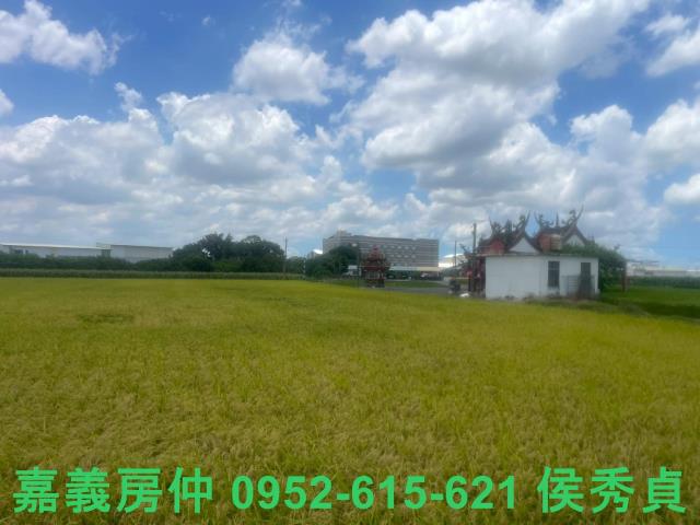 嘉義太保農地-9