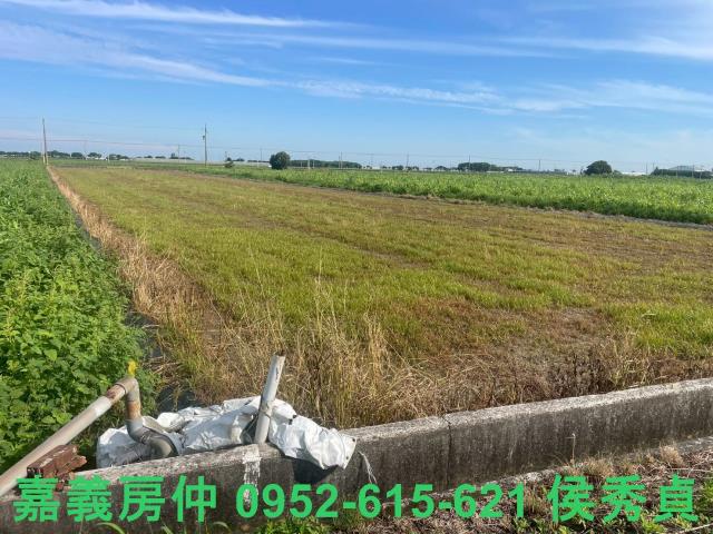 鹿草農地-2