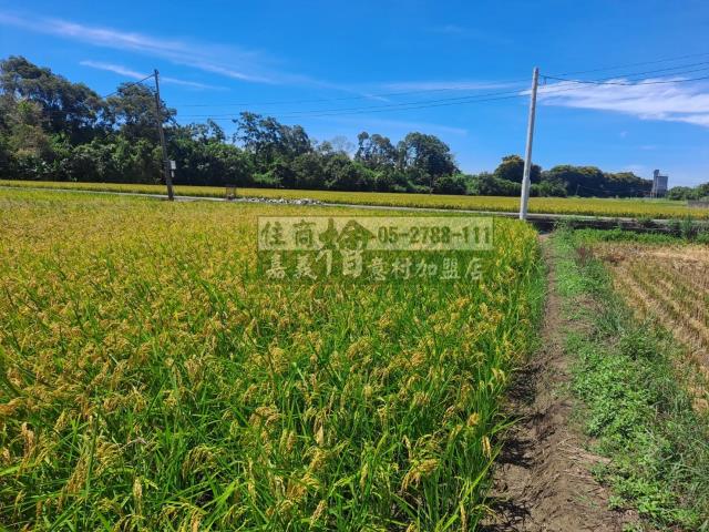 嘉義民雄農地-1