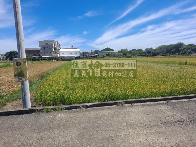 嘉義民雄農地-2