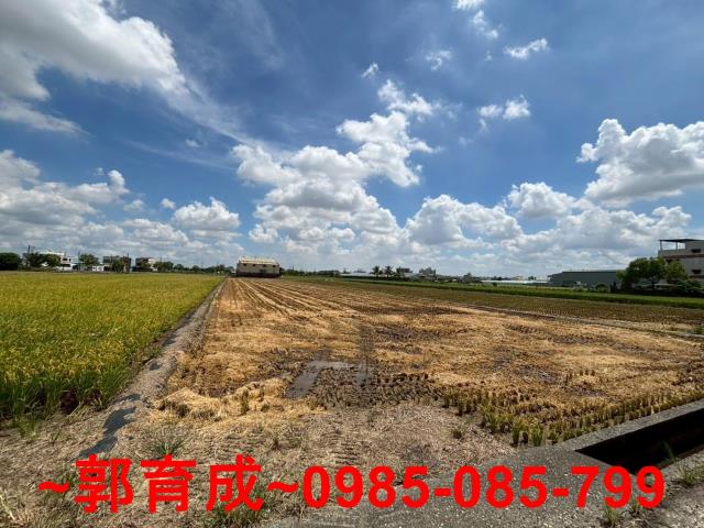 嘉義農地-3