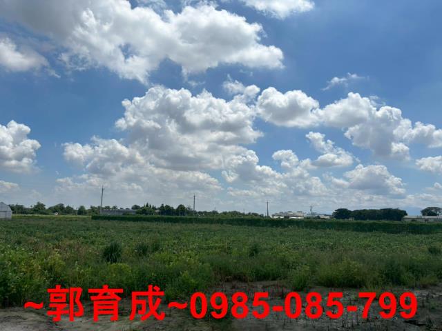 嘉義太保農地-3