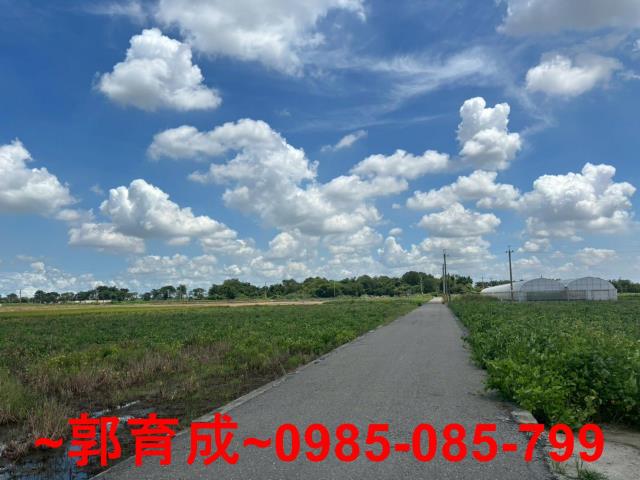 嘉義太保農地-4