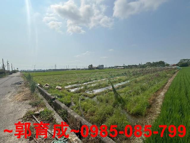 嘉義農地-4