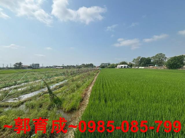 嘉義農地-6